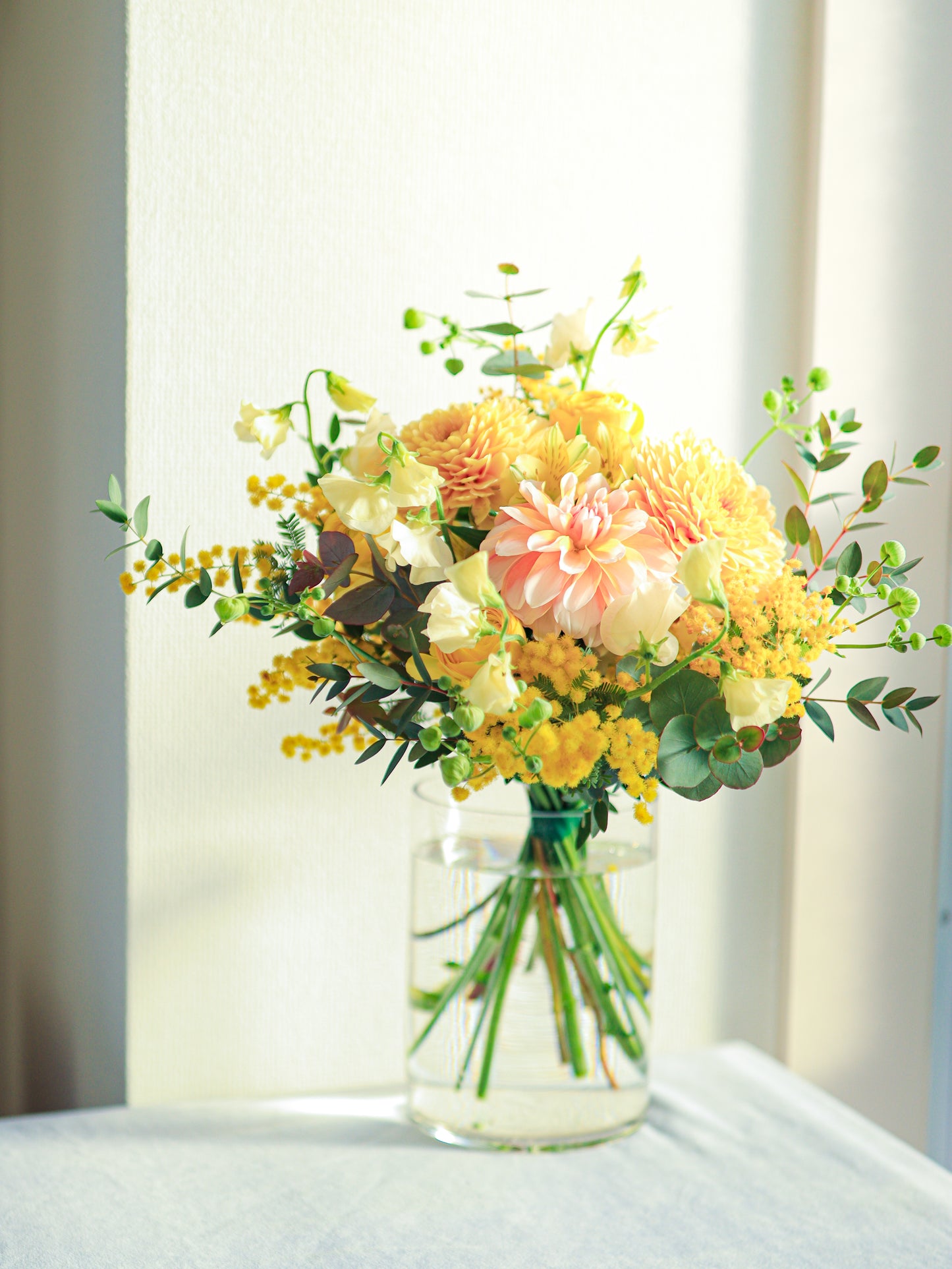 01.tomosuメンバーシップ