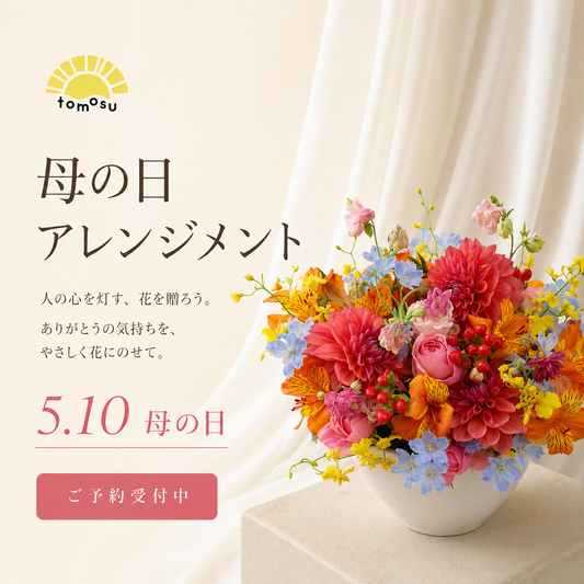 遅れてごめんね 母の日 アレンジメント